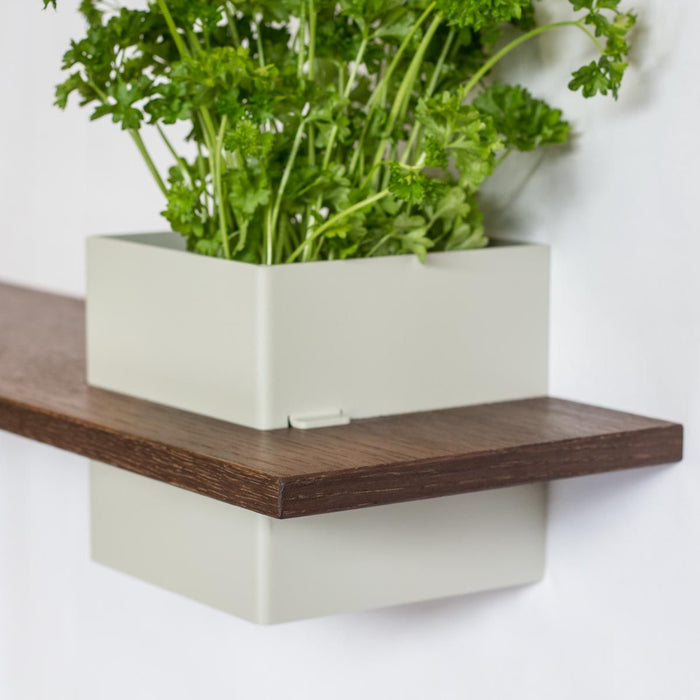 Box with shelf, wall-mounted: 1 pc. - LINE - gray with oak shelf