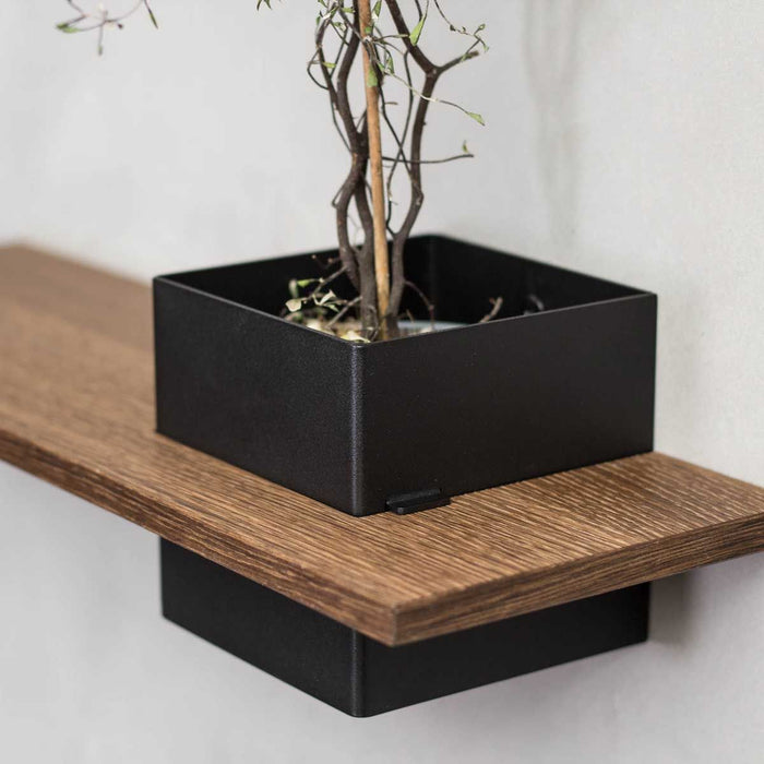 Box with shelf, wall-mounted: 1 pc. - LINE - black with oak shelf